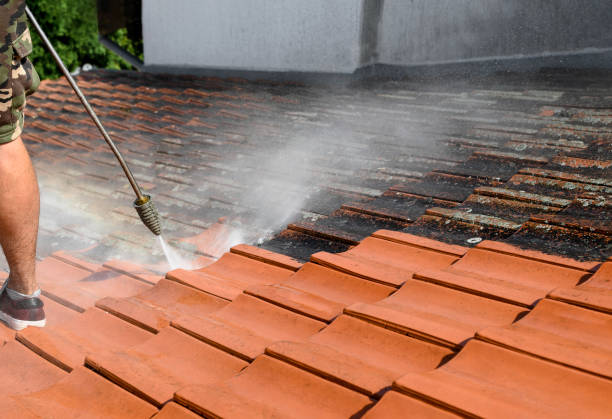 Best Roof Power Washing Services  in New Baltimore, VA