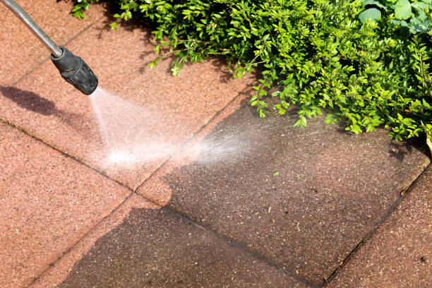 Best Roof Pressure Washing  in New Baltimore, VA